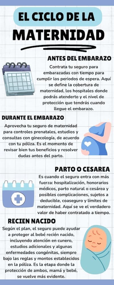 Infografía en línea de tiempo que muestra las etapas del seguro para embarazadas: antes del embarazo, durante el embarazo, parto o cesárea y recién nacido