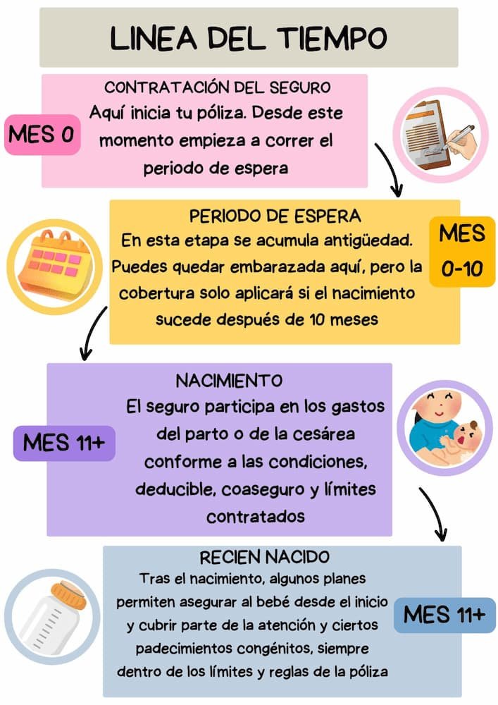 Línea de tiempo que muestra los tiempos de espera de un seguro para embarazadas desde la contratación de la póliza hasta el nacimiento del bebé